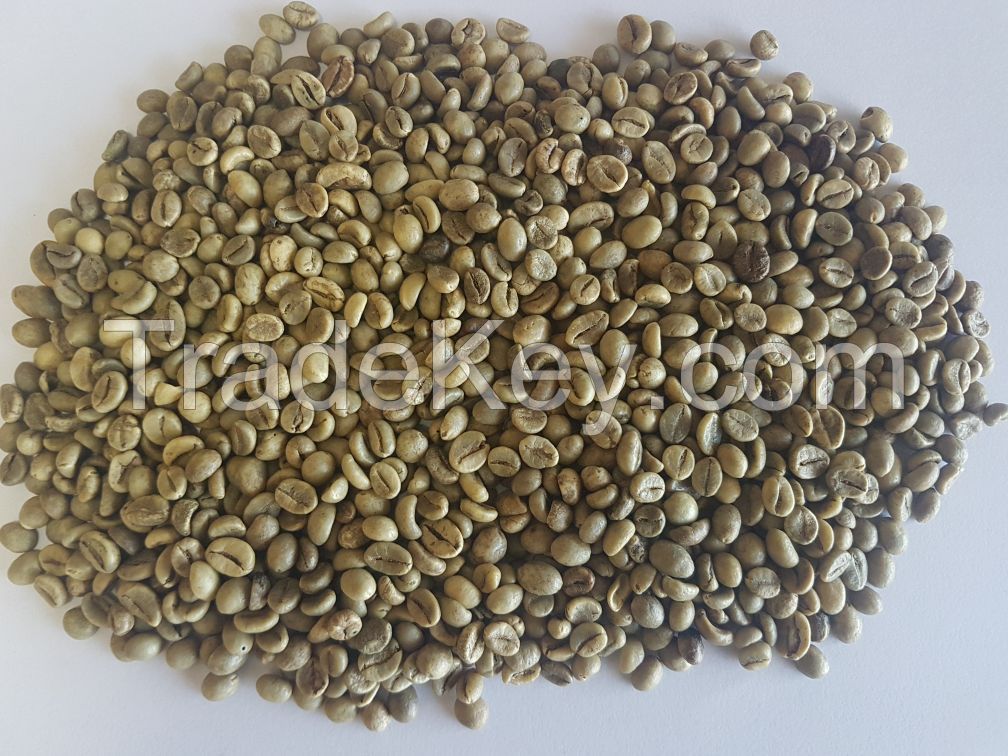 VIETNAM ROBUSTA COFFEE R1/SCREEN 16 WET POLISHED