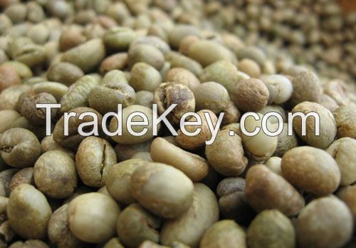 VIETNAM ROBUSTA GRADE 2