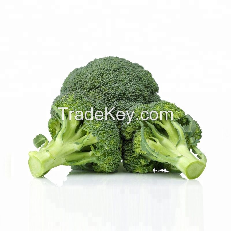 fresh broccoli