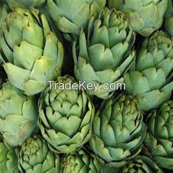 FRESH GRADE A ARTICHOKE FOR SALE