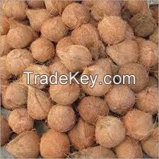 Premium Quality Brown Coconut