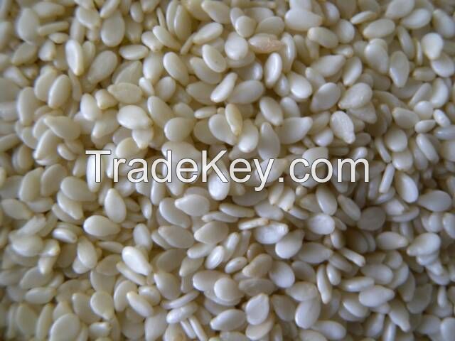 Sesame Seeds