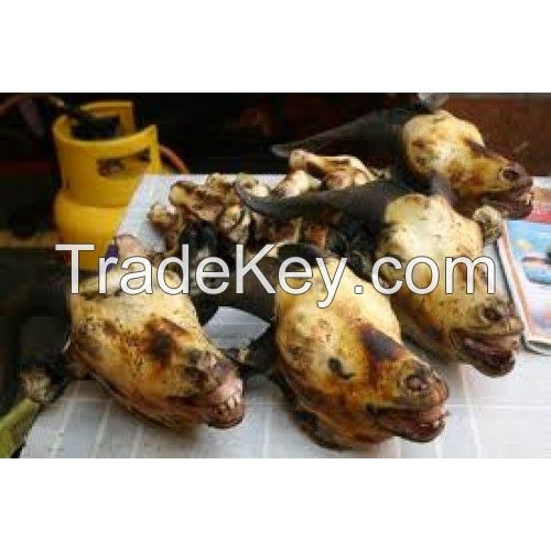 frozen goat meat