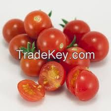 Organic cherries tomatoes