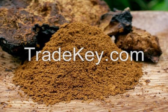 100% Natural organic chaga mushroom powder