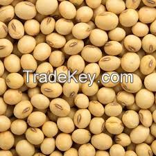 SOYA BEANS