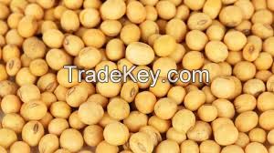 SELL   M Non GMO Soybeans