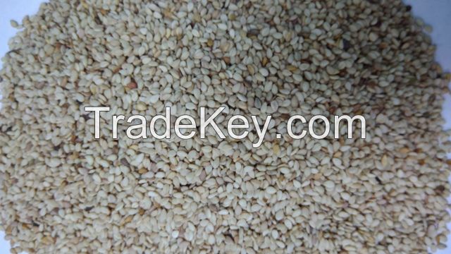 HIGH QUALITY WHITE SESAME ON SALES