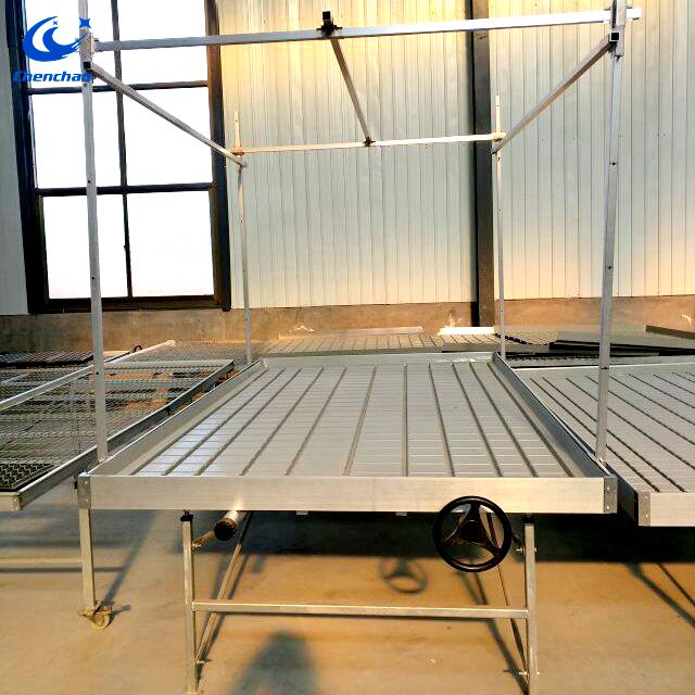 Ebb and flow table with movable wheels used for seedling