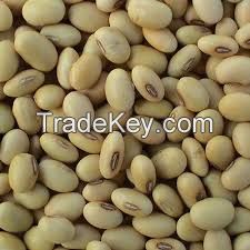 Soya beans