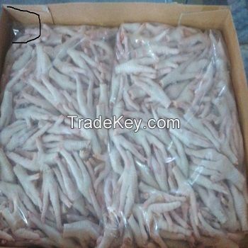 HALAL FROZEN WHOLE CHICKEN / FROZEN CHICKEN PAWS / FROZEN PROCESSED CHICKEN FEET