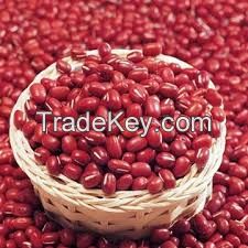 Red Kidney Beans Organic and Wholesale!