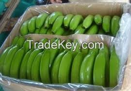 Fresh Bananas for sale.