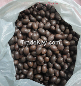 Dried Black Lotus Seeds from the Vietnam