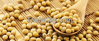 High Quality Rich Yellow Soy Bean