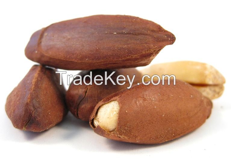 Quality Raw  Pili Nuts Now Available for sale