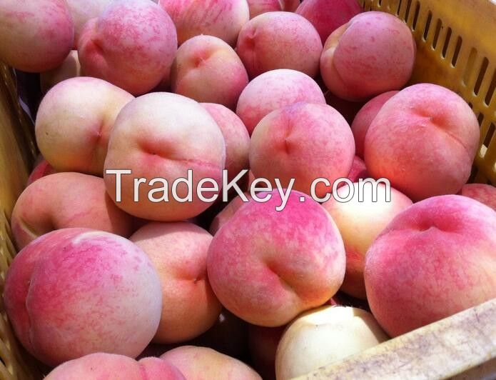 Organic Fresh Peach now available on sale. 30% Discount