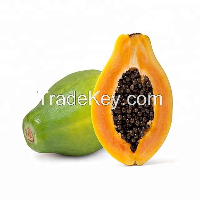 Fresh High Quality Papaya now available on sale. 30% Discount