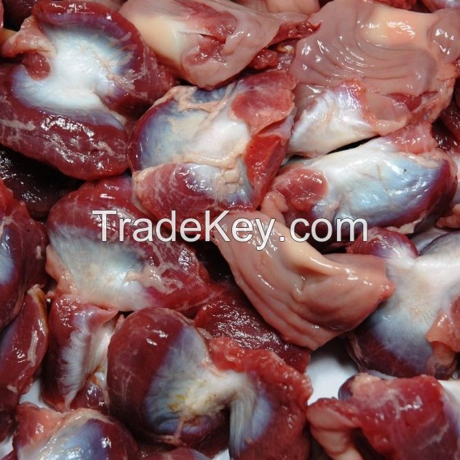 Best Quality Frozen Chicken Gizzards For Sale