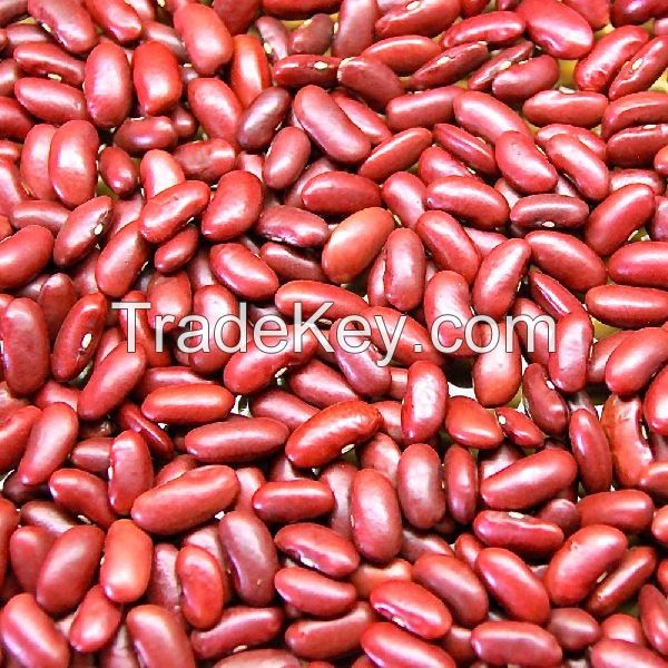 Red Kidney Beans