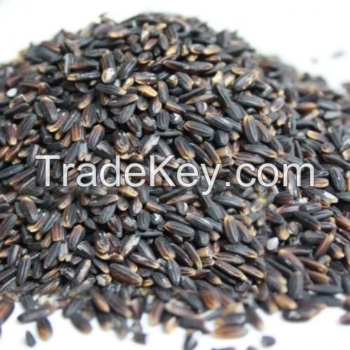 Hot Sale Sweet Flavor Black Rice