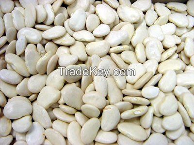 white kidney beans