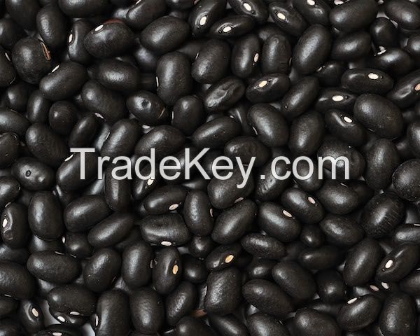 Black Kidney Bean