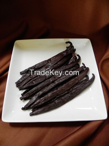 Grade A Vanilla Beans for sale