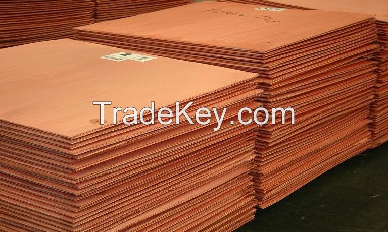 ELECTROLYTIC COPPER CATHODES