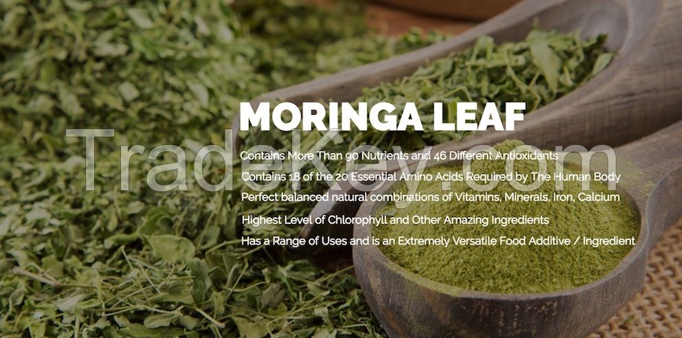 Organic Certified Moringa Leaf Powder From Indonesia - High Nutrition Content Heavy Metal Free