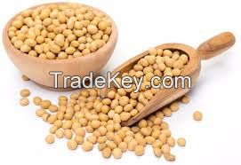 Soybeans