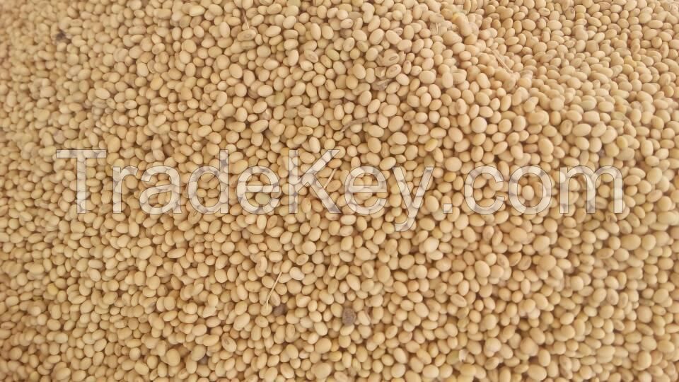 Sell Soybeans