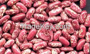 WHITE KIDNEY BEANS /RED KIDNEY BEANS/ LIGHT SPECKLED KIDNEY BEANS