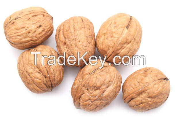 Raw Walnuts and Walnut kernels without shell organic in bulk