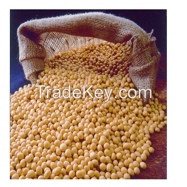 Organic Soybean , Soya Bean