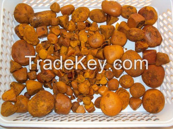 OX Gallstones