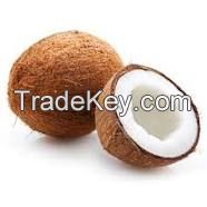 Coconut