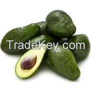 Sell Avocados