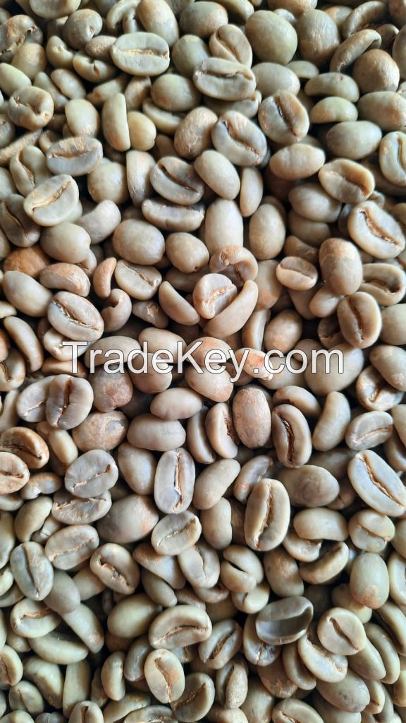 arabica coffee beans