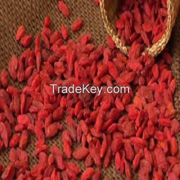 dried goji berries for sale