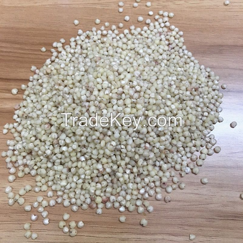 Hot Sale Sweet Sorghum Seed