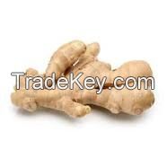 Sell Ginger