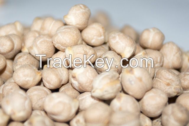 Chickpeas Kabuli for sale