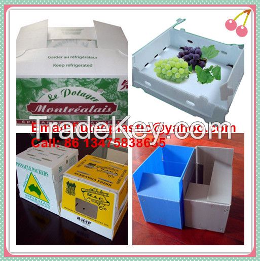 Plastic corrugated box for packing and storage