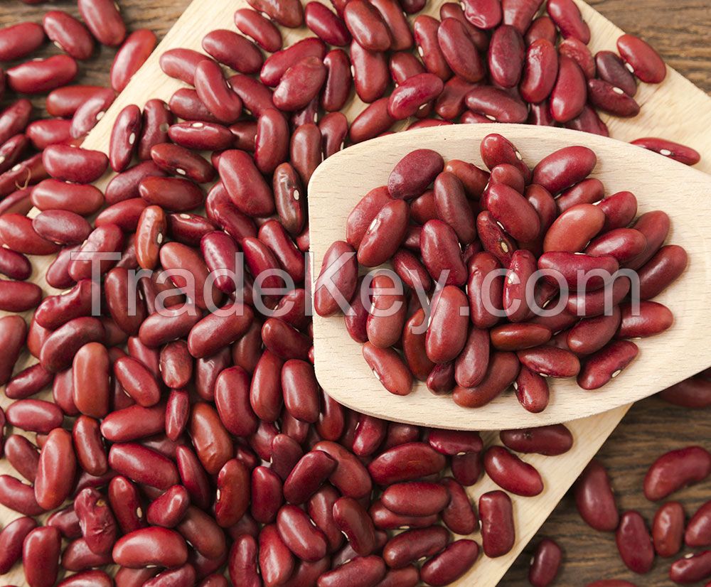 Kidney Beans