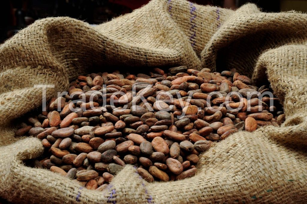 cocoa beans