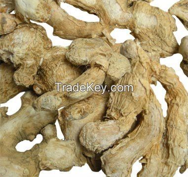 Dried Ginger