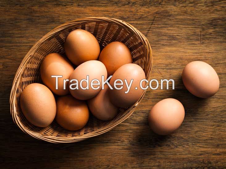 Chicken Eggs, Broiler Hatching Eggs , Cobb 500 Eggs , Ross 308 Eggs, Fertile Chicken Eggs