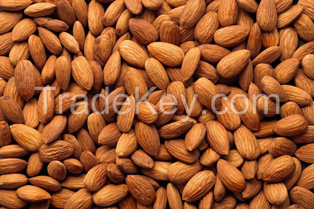 High/ Great Quality Raw Almond Kernels