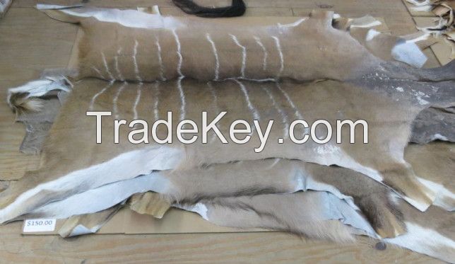 Dry Salted Donkey Hides